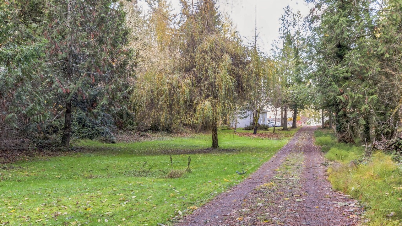 Photo of Outdoor in Longbranch