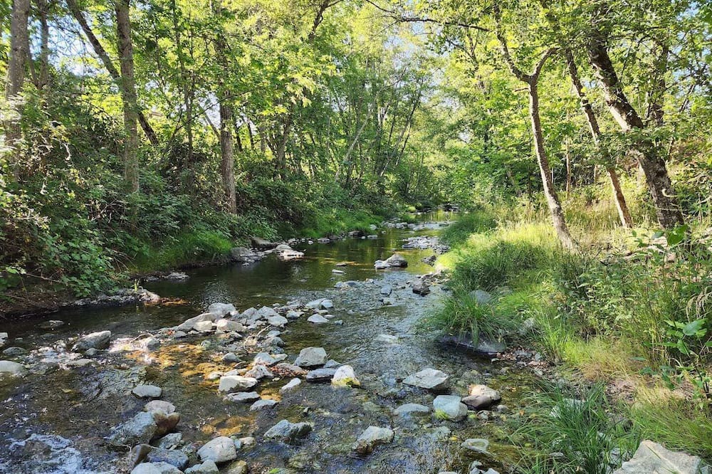 Photo of Outdoor in Canyonville
