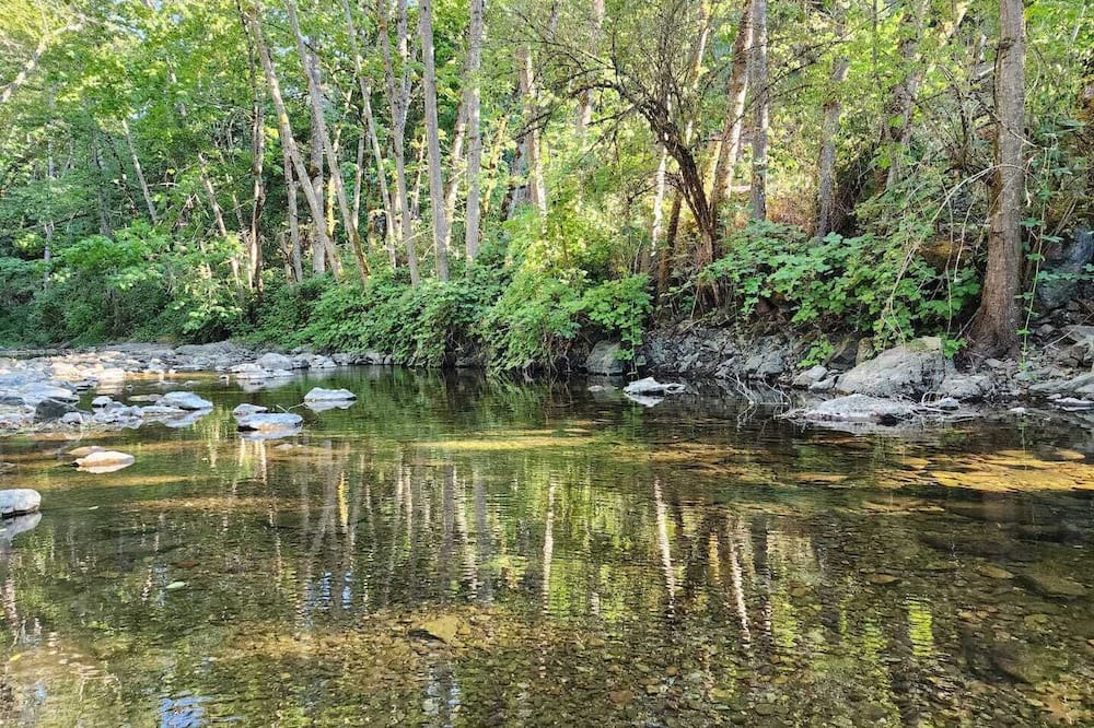 Photo of Outdoor in Canyonville