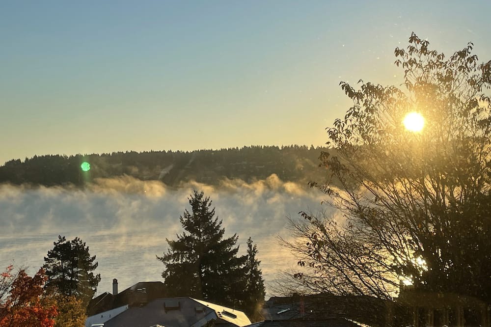 Photo of Outdoor in Lake Forest Park