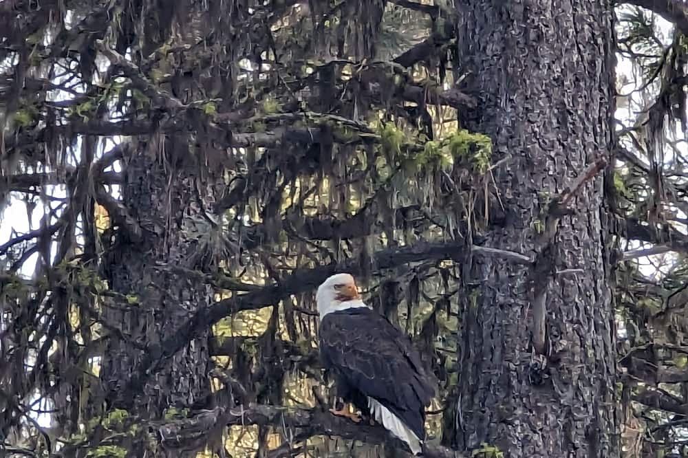 Photo of Others in Garden Valley