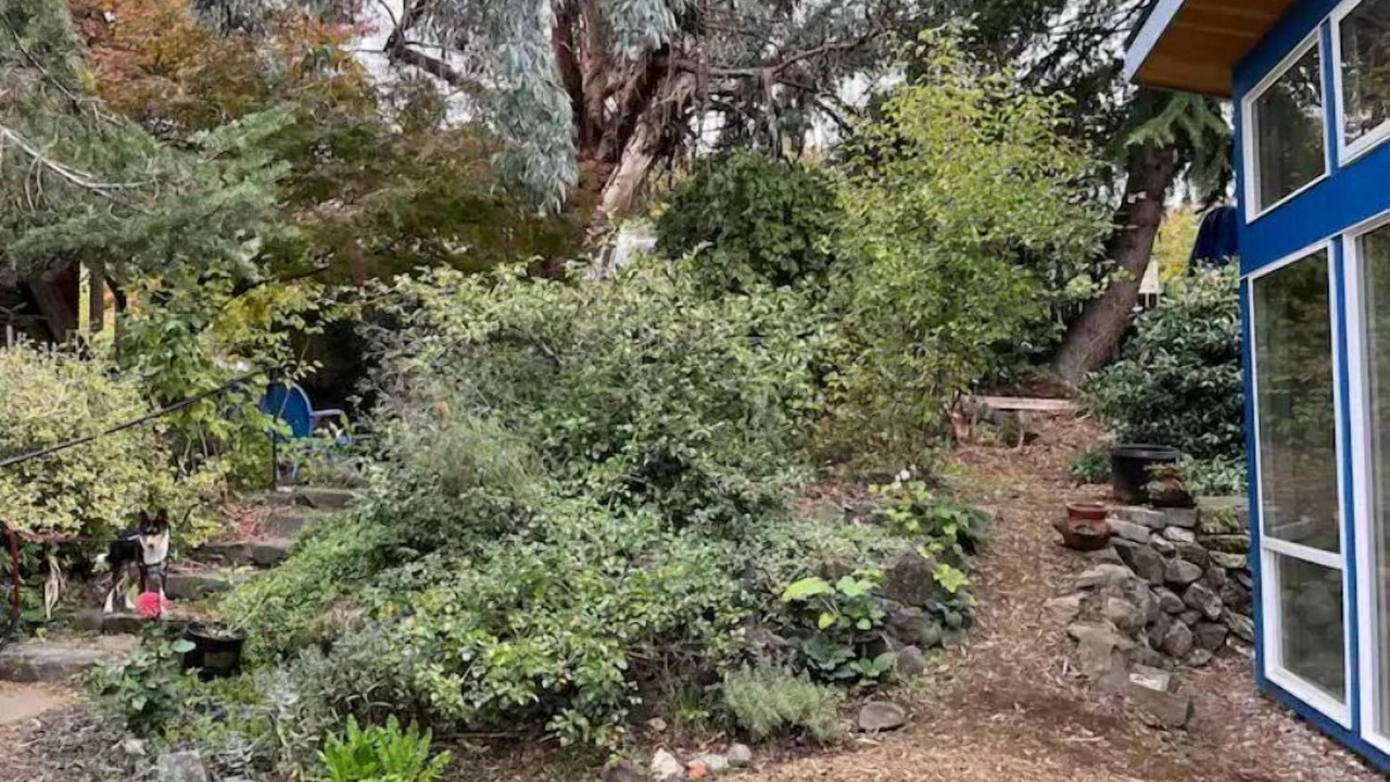 Photo of Outdoor in West Woodland