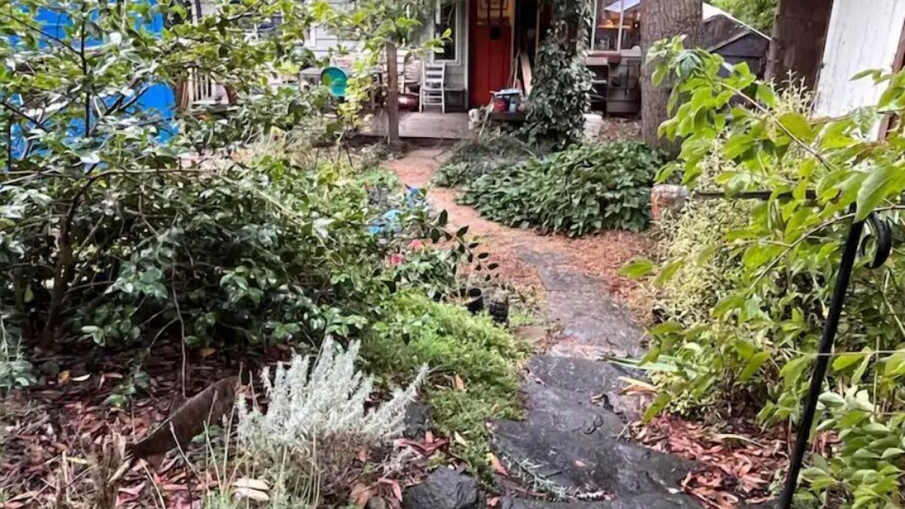 Photo of Outdoor in West Woodland