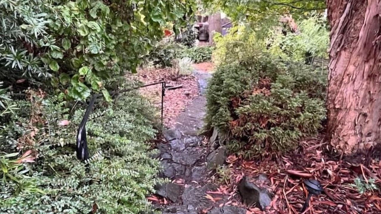 Photo of Outdoor in West Woodland