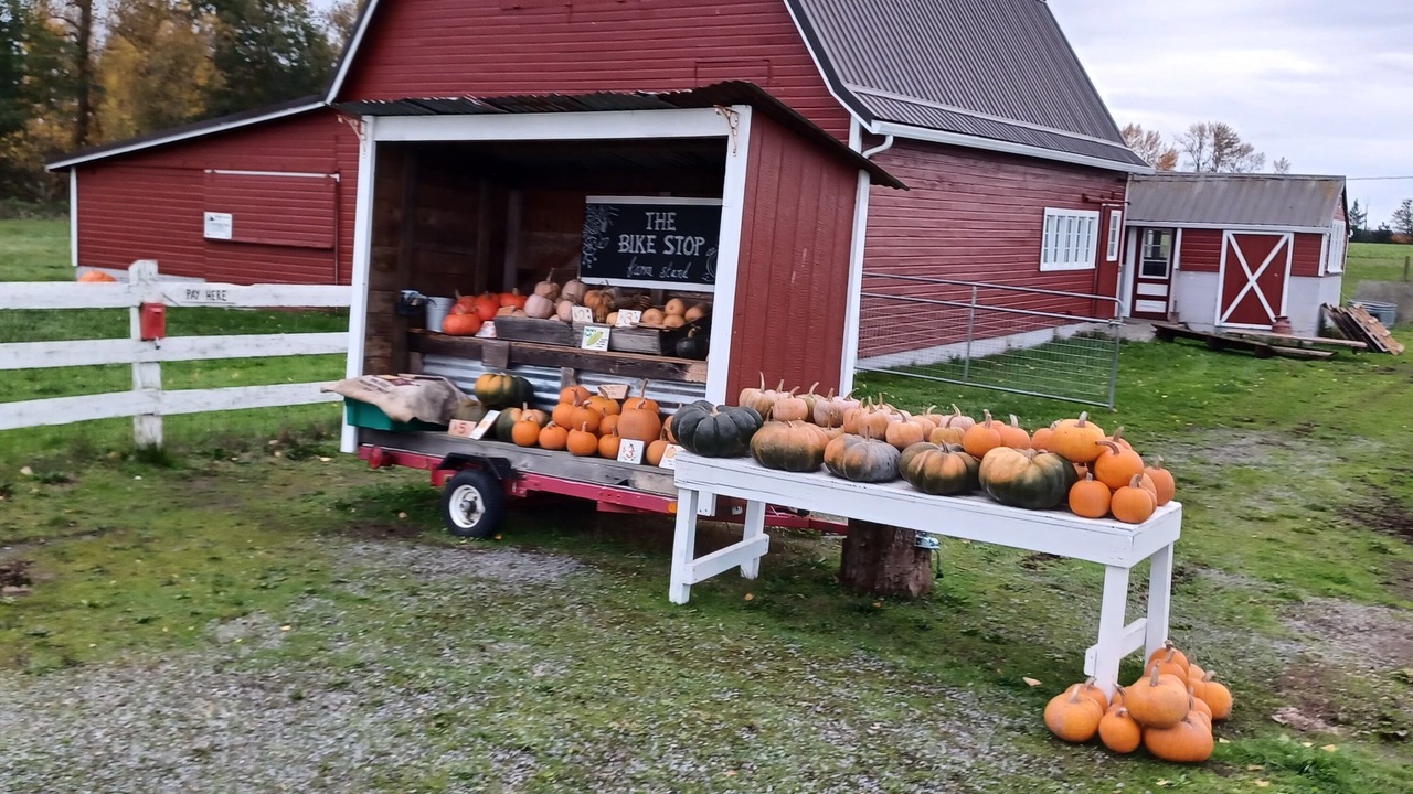 Photo of Outdoor in La Conner