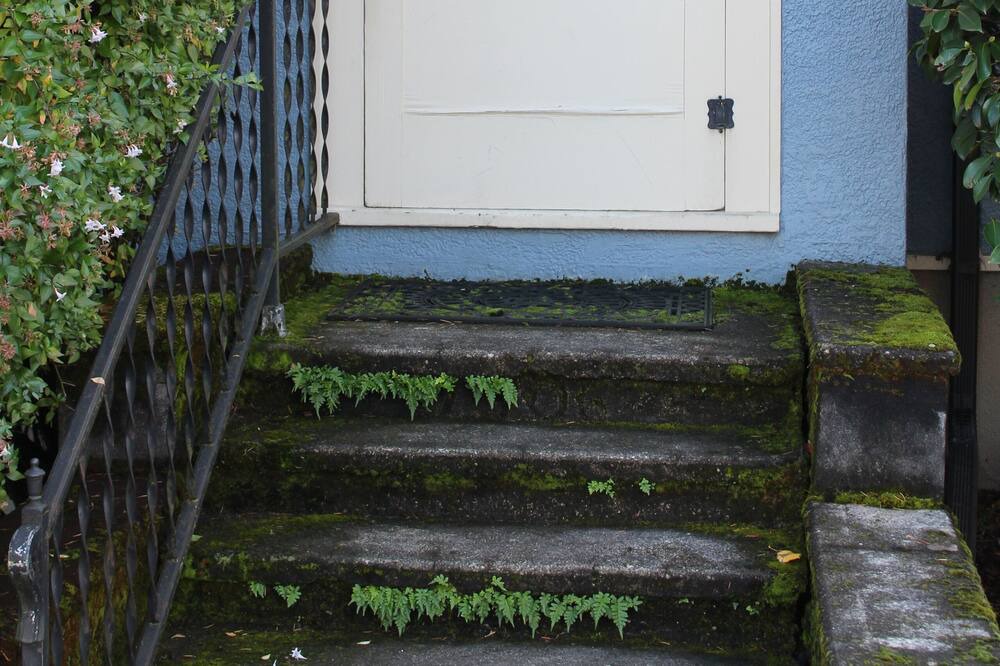 Photo of Outdoor in Mount Scott-Arleta