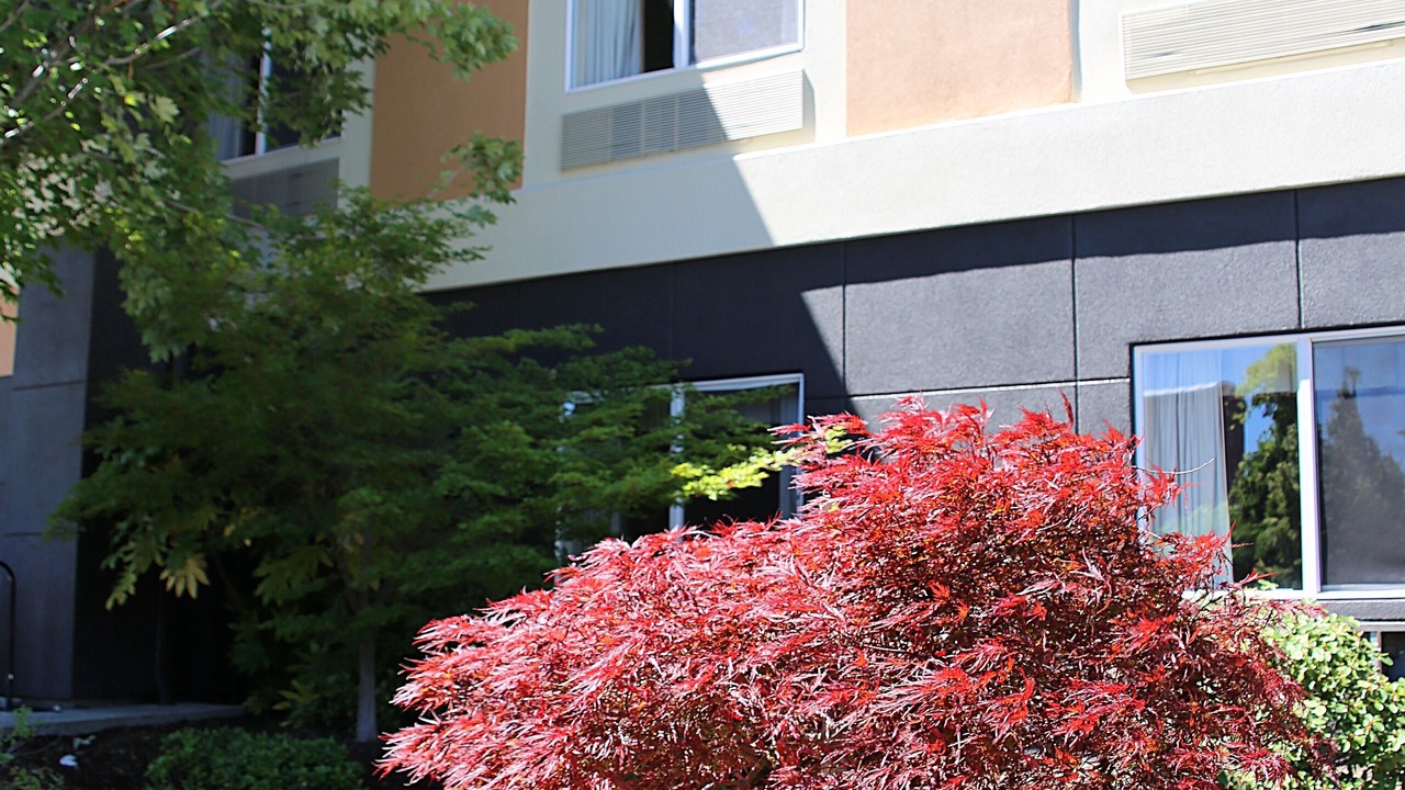 Photo of Outdoor in Ashland