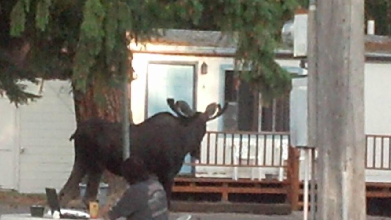 Photo of Outdoor in St. Regis
