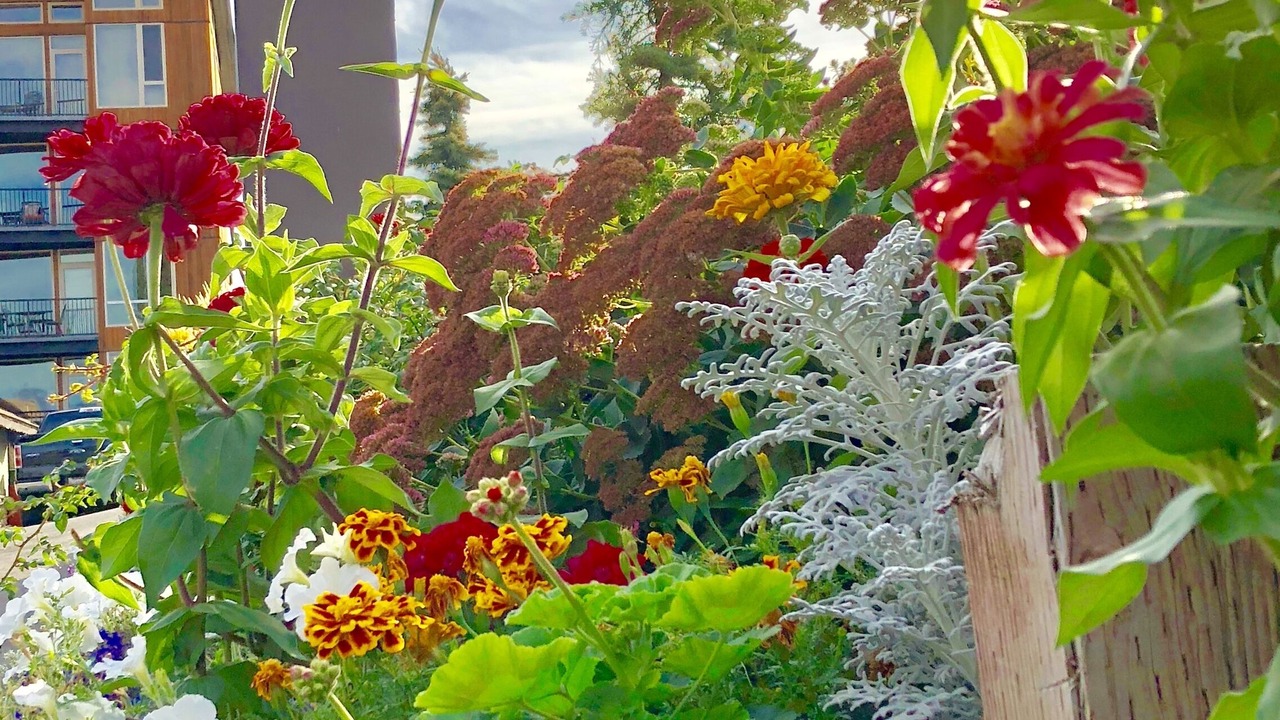 Photo of Outdoor in Chelan