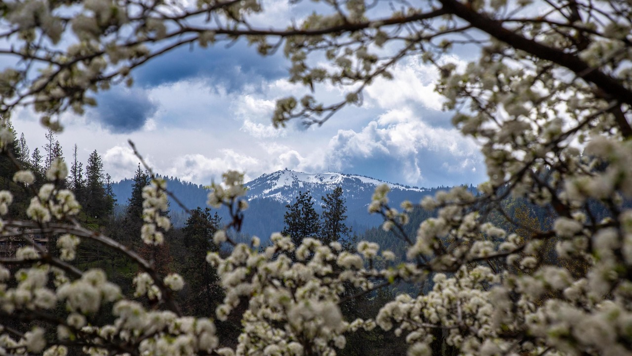 Photo of Others in Historic Downtown District
