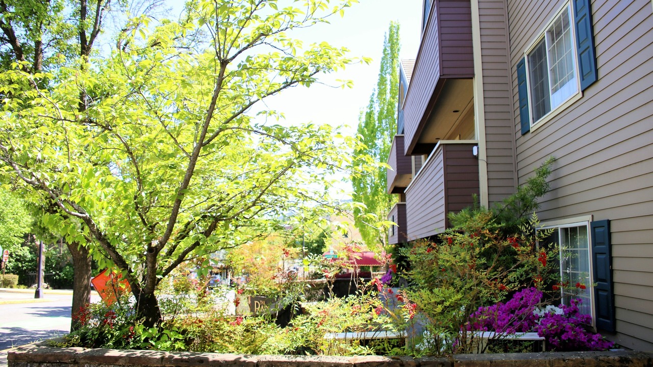 Photo of Outdoor in Historic Downtown District