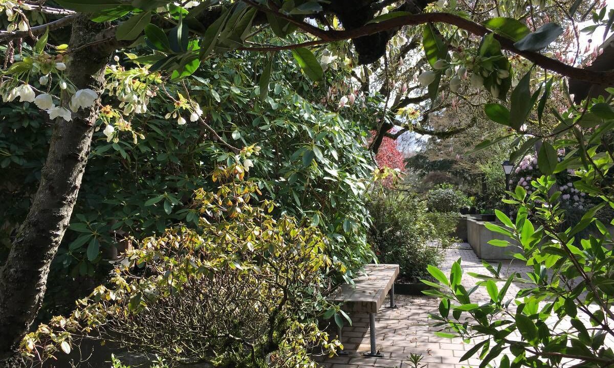 Photo of Outdoor in Issaquah