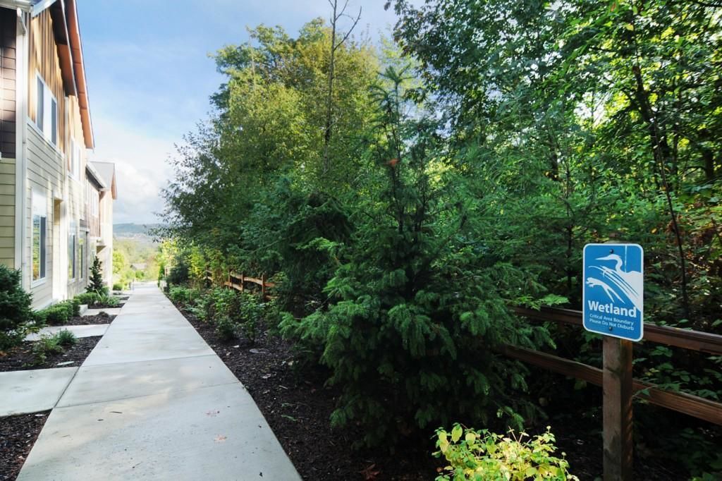 Photo of Outdoor in Issaquah