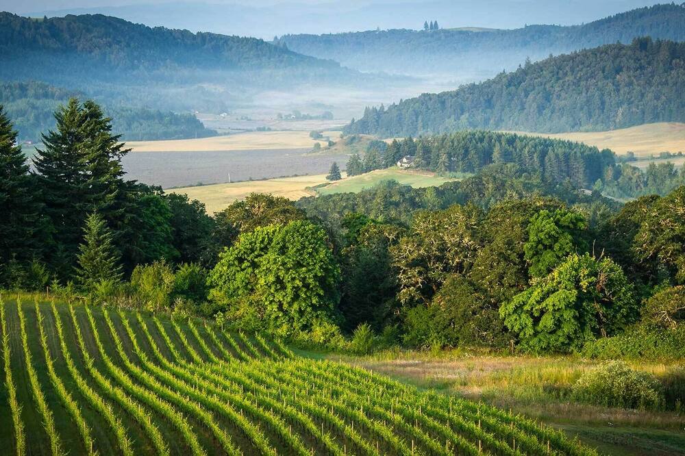 Photo of Outdoor in Roseburg