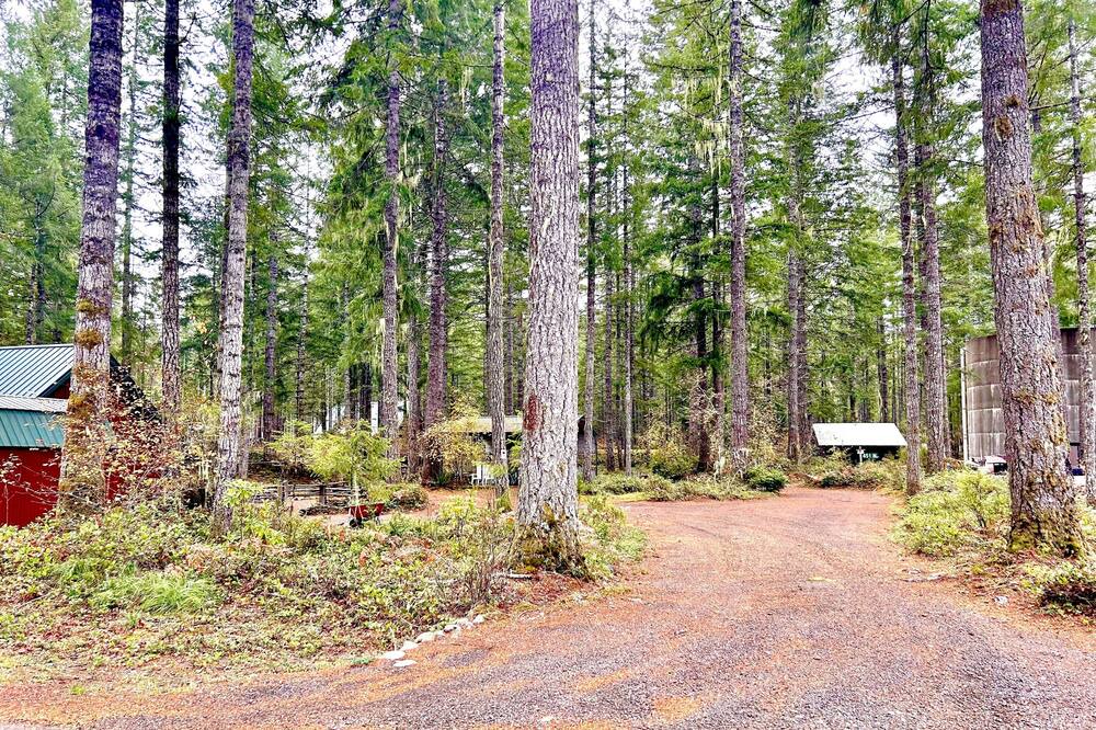 Photo of Outdoor in Hoodsport