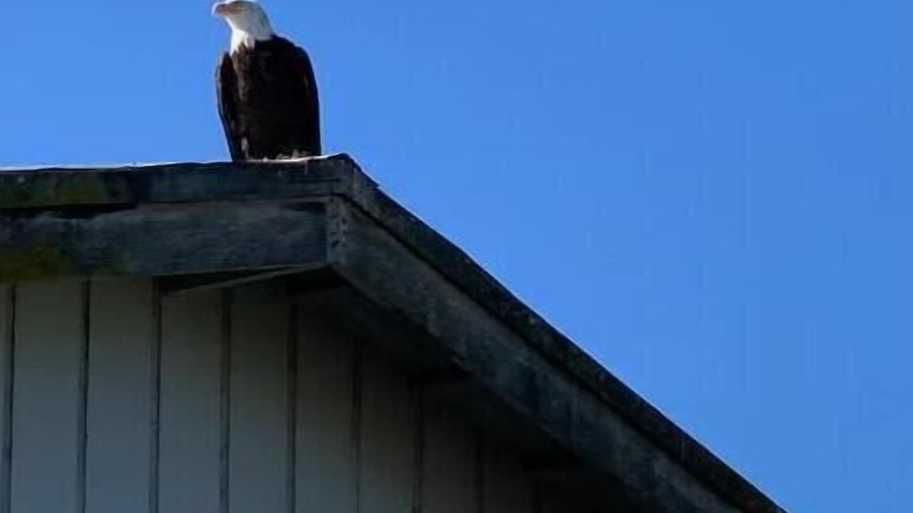 Photo of Outdoor in Sequim