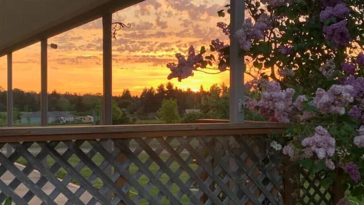 Photo of Outdoor in Sequim
