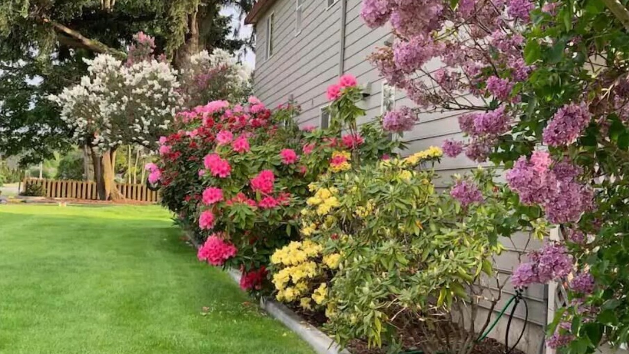 Photo of Outdoor in Sequim