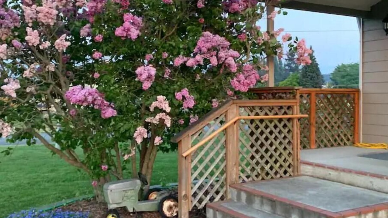 Photo of Outdoor in Sequim