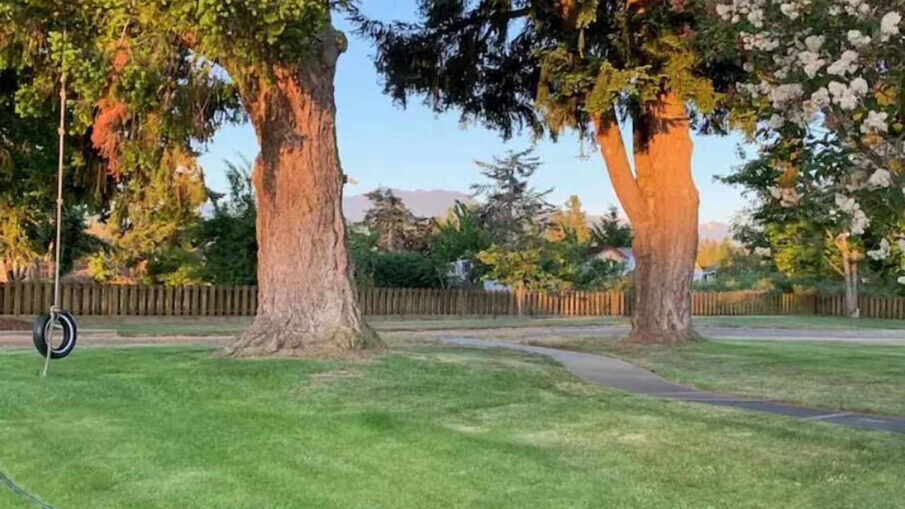 Photo of Outdoor in Sequim