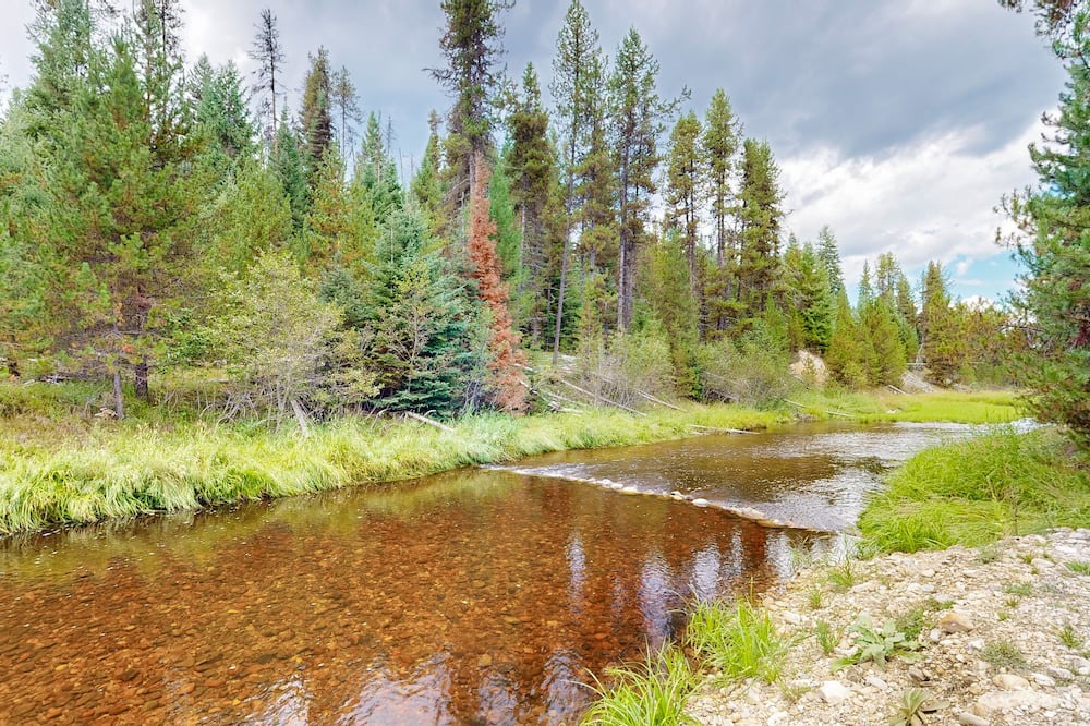 Photo of Outdoor in Dixie