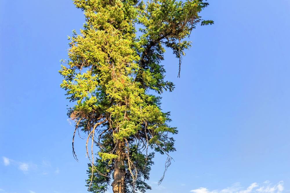 Photo of Outdoor in Kittitas County