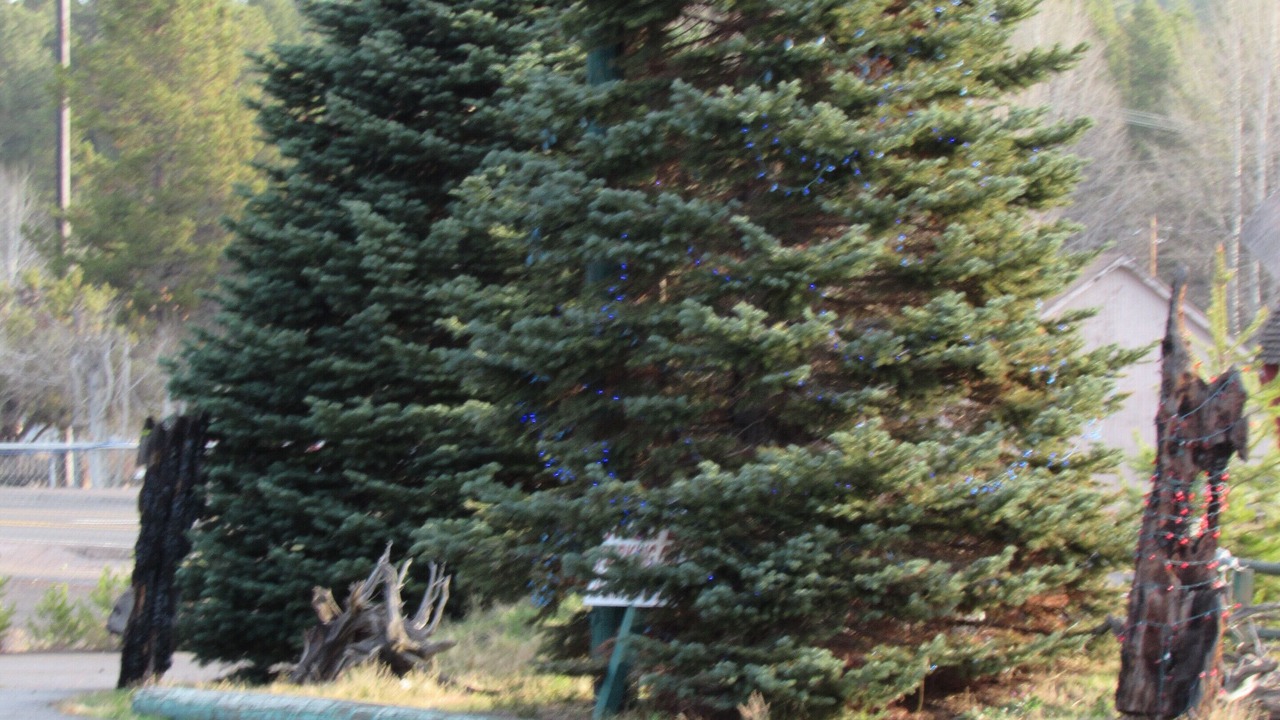 Photo of Outdoor in Crescent