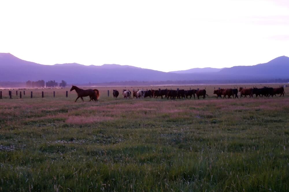 Photo of Outdoor in Fort Klamath
