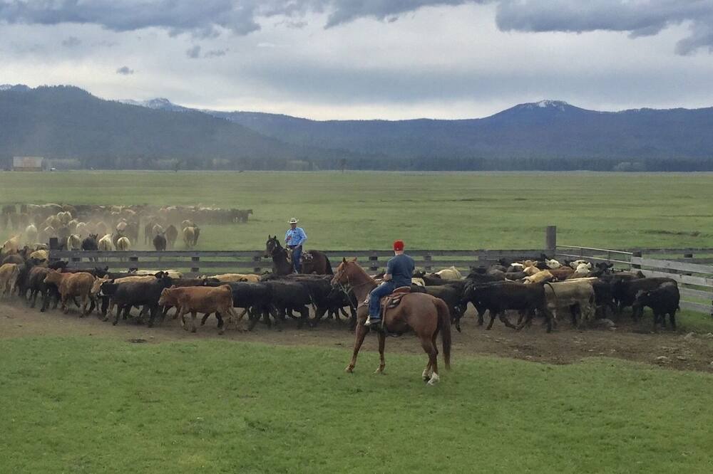 Photo of Others in Fort Klamath