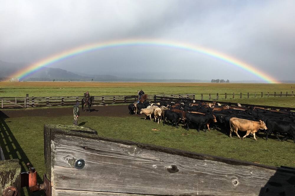 Photo of Others in Fort Klamath