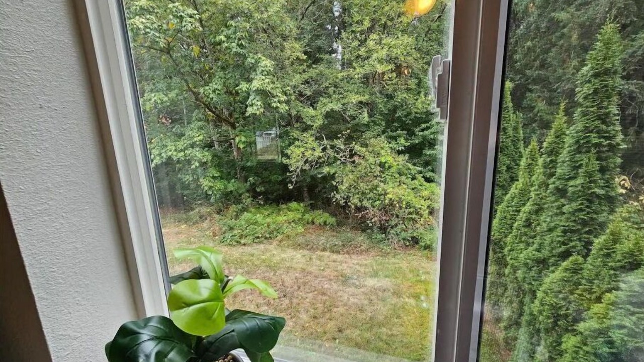 Photo of Others in Bonney Lake