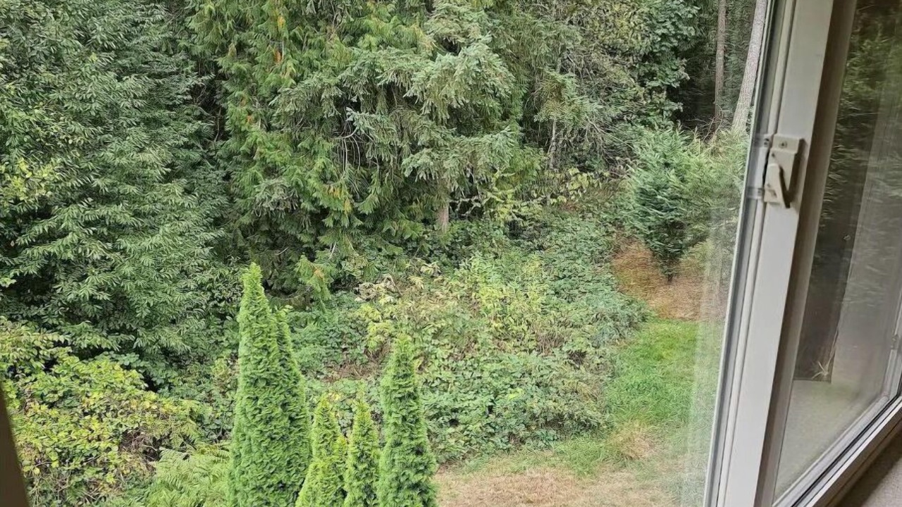 Photo of Others in Bonney Lake