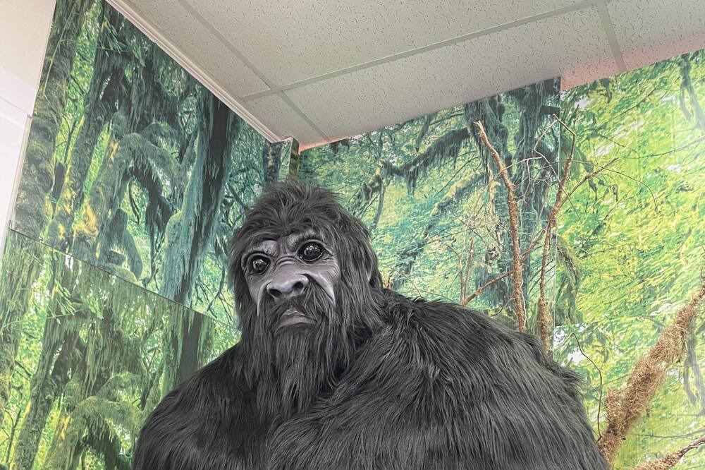 Photo of Others in Beaver