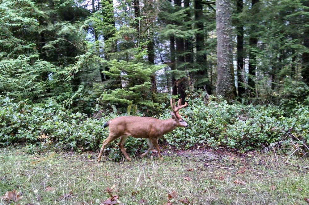 Photo of Outdoor in Beaver