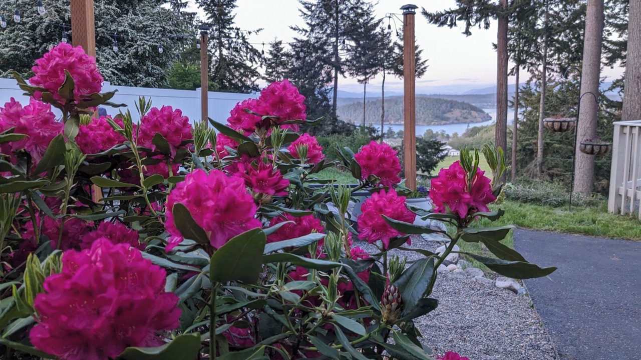 Photo of Outdoor in Oak Harbor