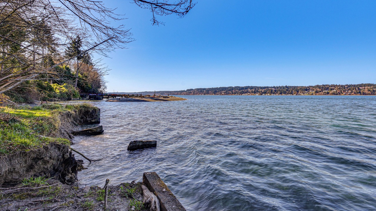 Photo of Others in Gig Harbor