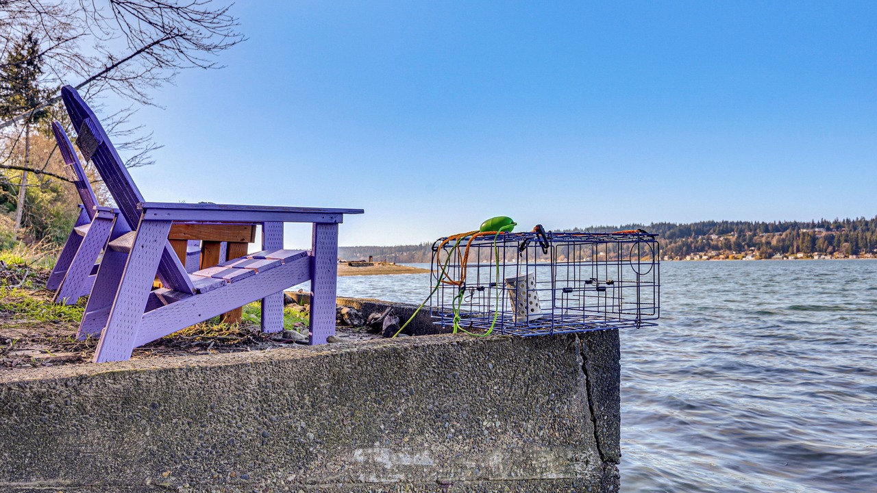 Photo of Others in Gig Harbor