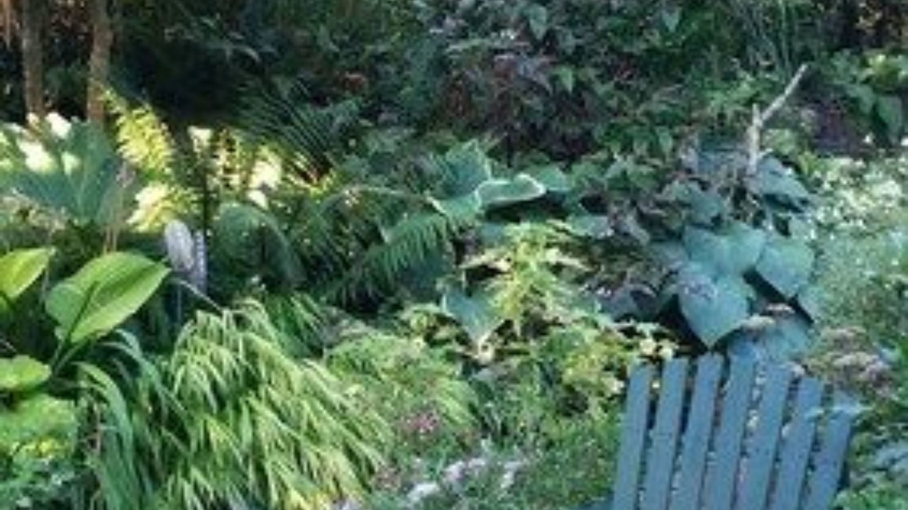 Photo of Outdoor in North End