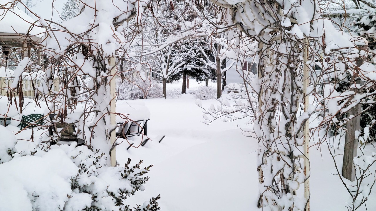 Photo of Patio Balcony in Ludington