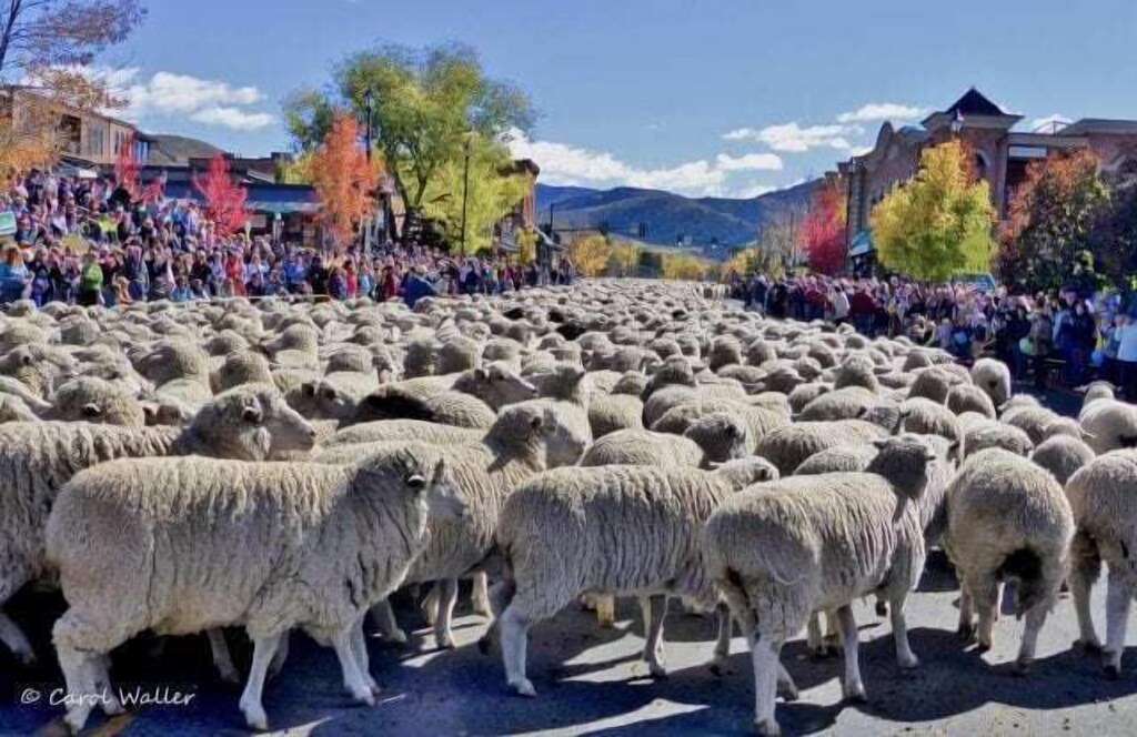 Photo of Others in Warm Springs