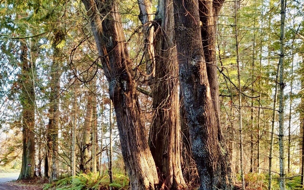 Photo of Others in Rollingbay