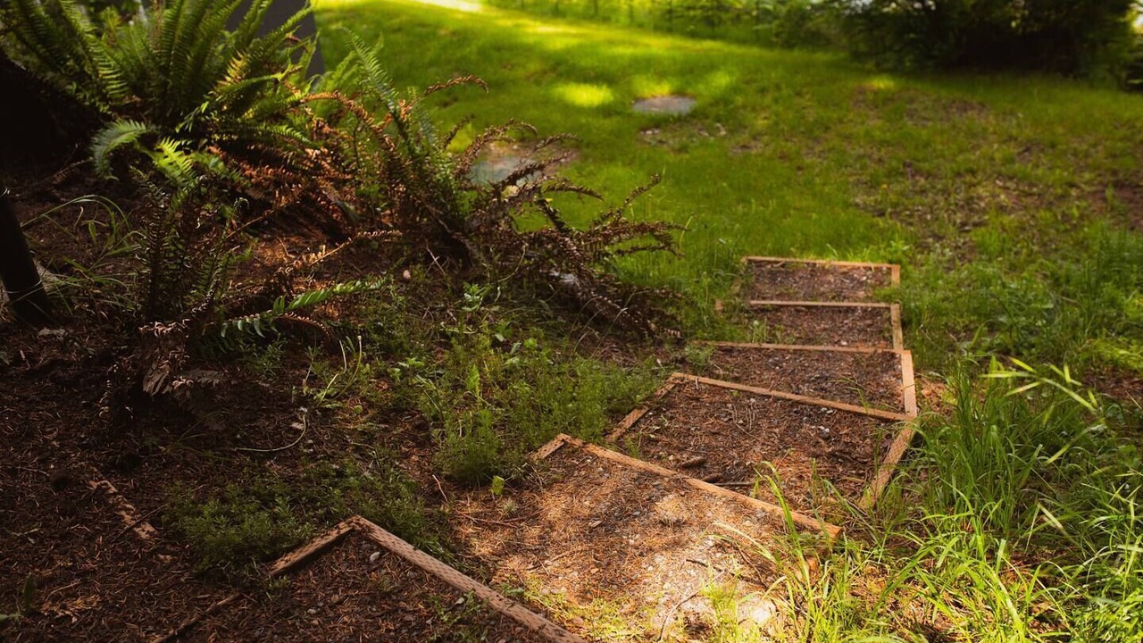 Photo of Outdoor in Lummi Island
