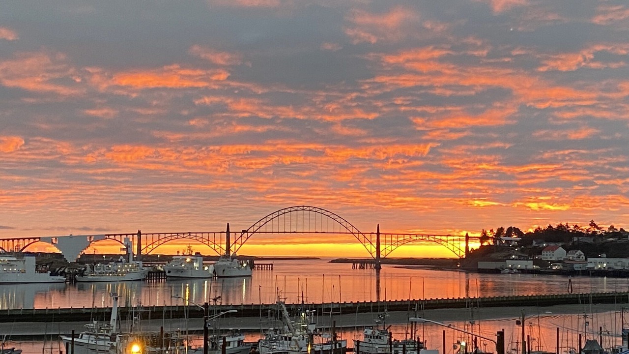 Photo of Others in Newport