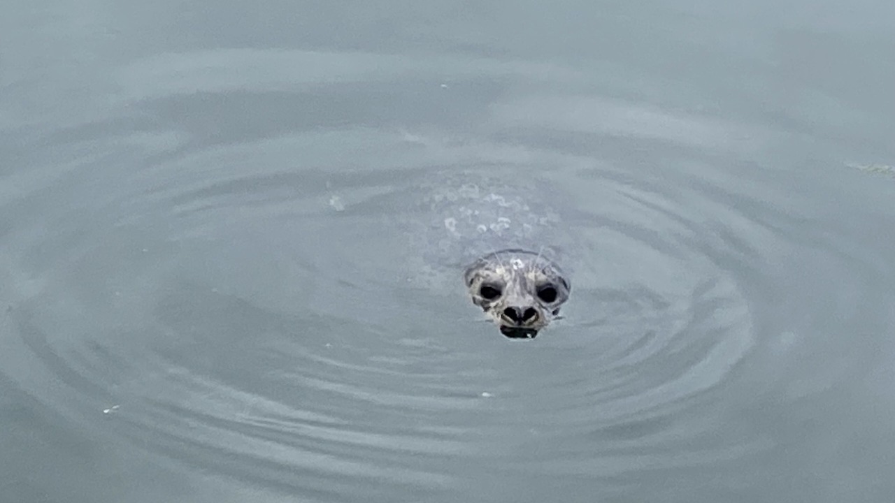 Photo of Others in Newport