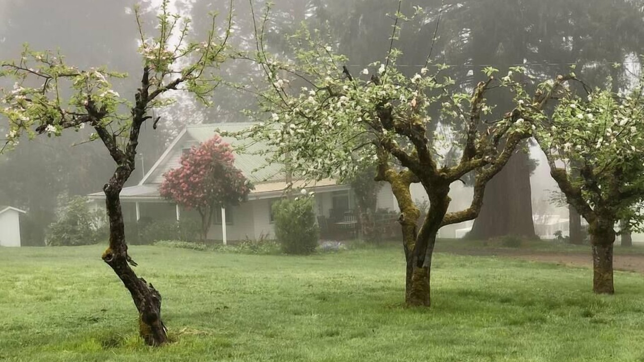 Photo of Others in Elkton