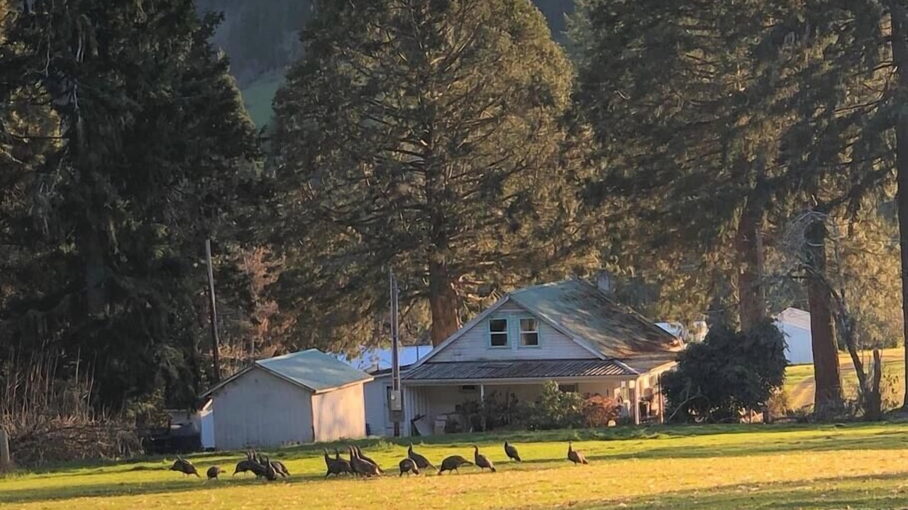 Photo of Others in Elkton
