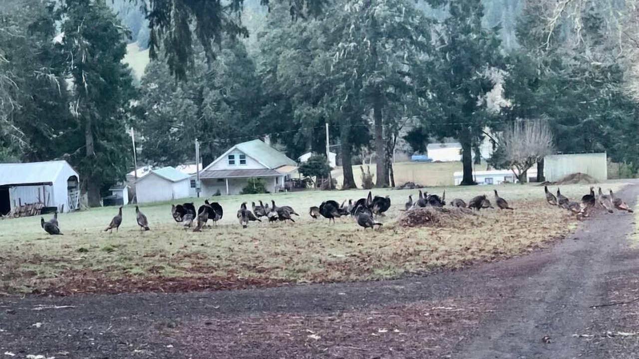 Photo of Others in Elkton