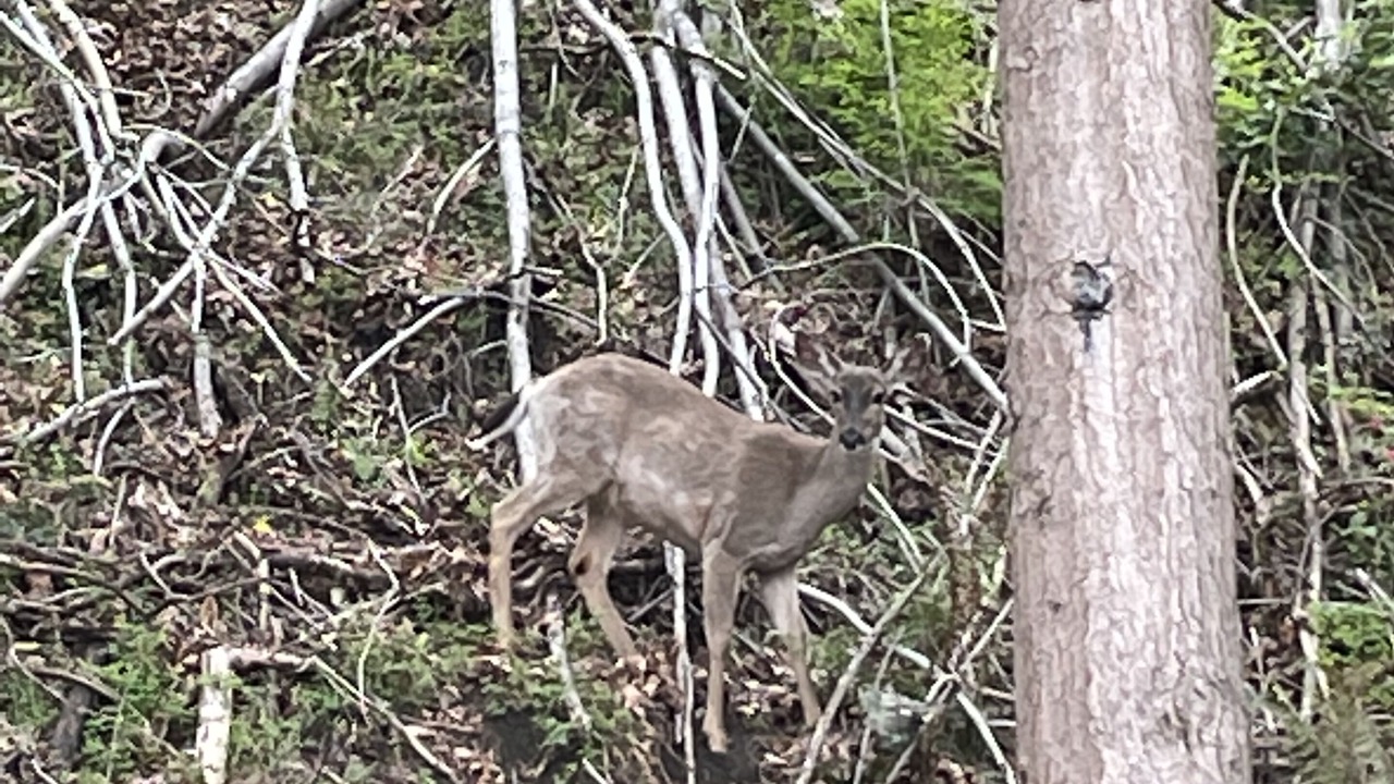 Photo of Others in North End