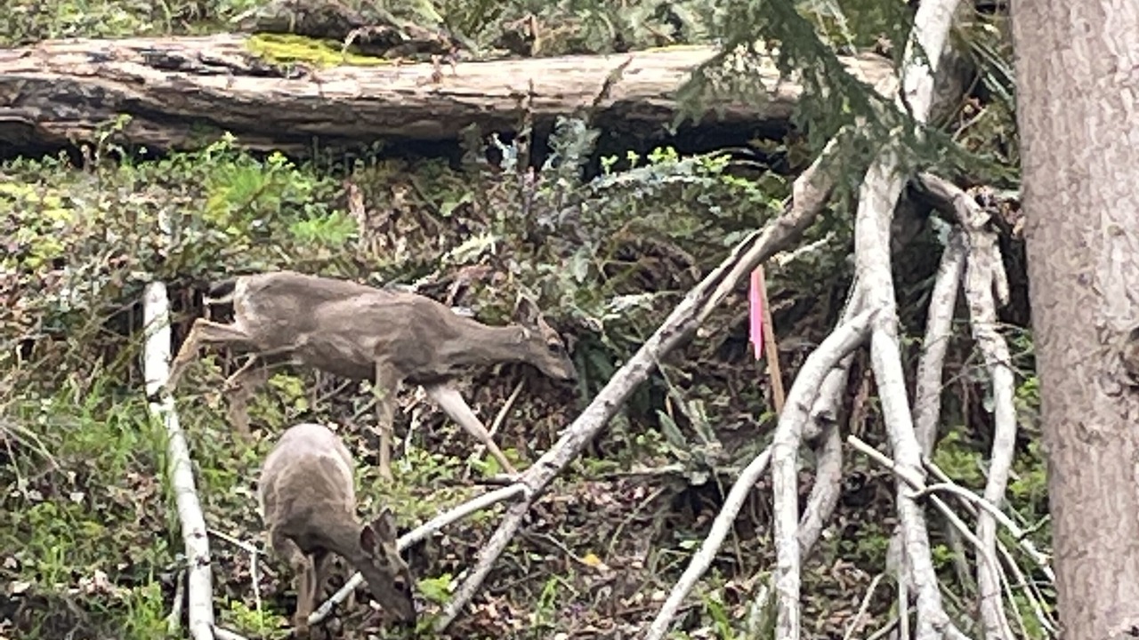 Photo of Outdoor in North End