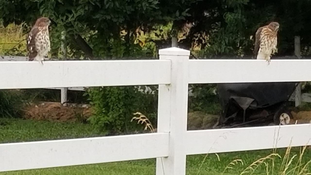 Photo of Others in West Valley